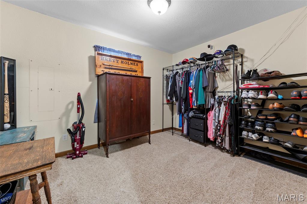 716 Springfield Road Gillespie, IL 62033 - Photo 25 of 33