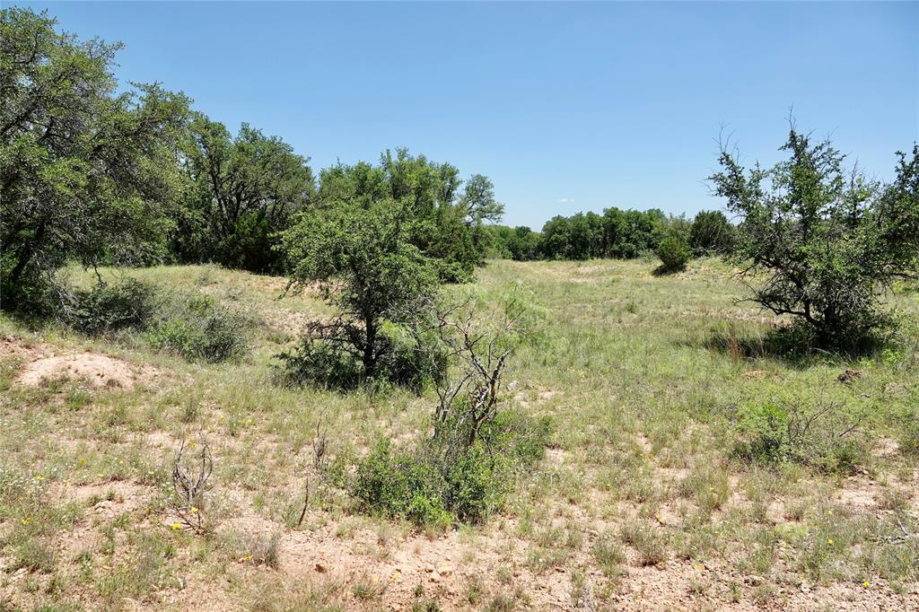 219 C R 550 Mullin, TX 76864 - Photo 8 of 37 a view of a yard with plants and a tree
