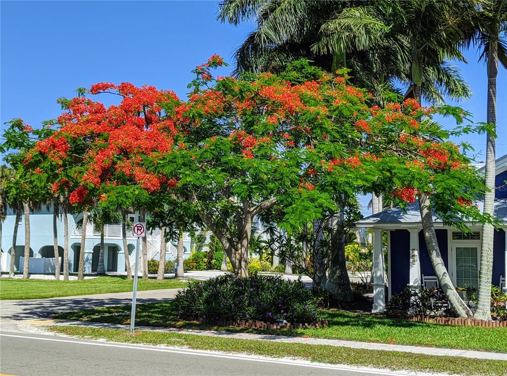 5934 Welcome Road, Unit H7 Bradenton, FL 34207 - Photo 23 of 23 a front view of a house with a tree and plants