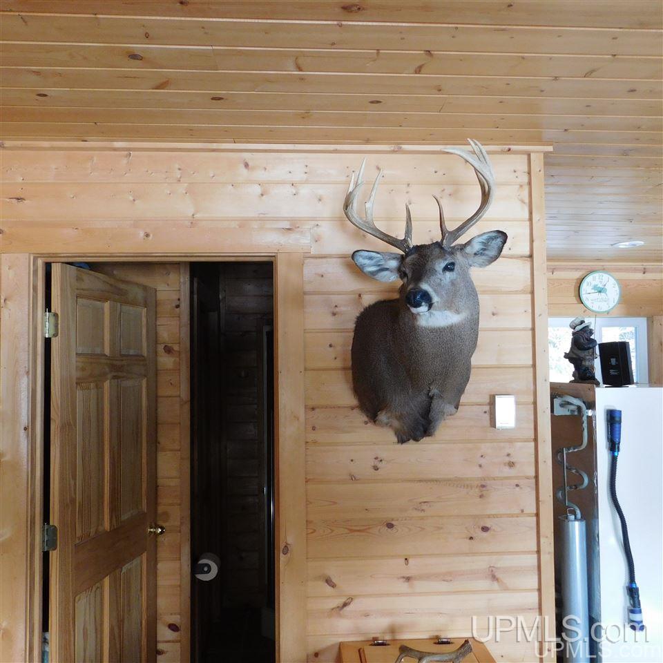 Tbd Lantz Road Ralph, MI 49877 - Photo 22 of 47