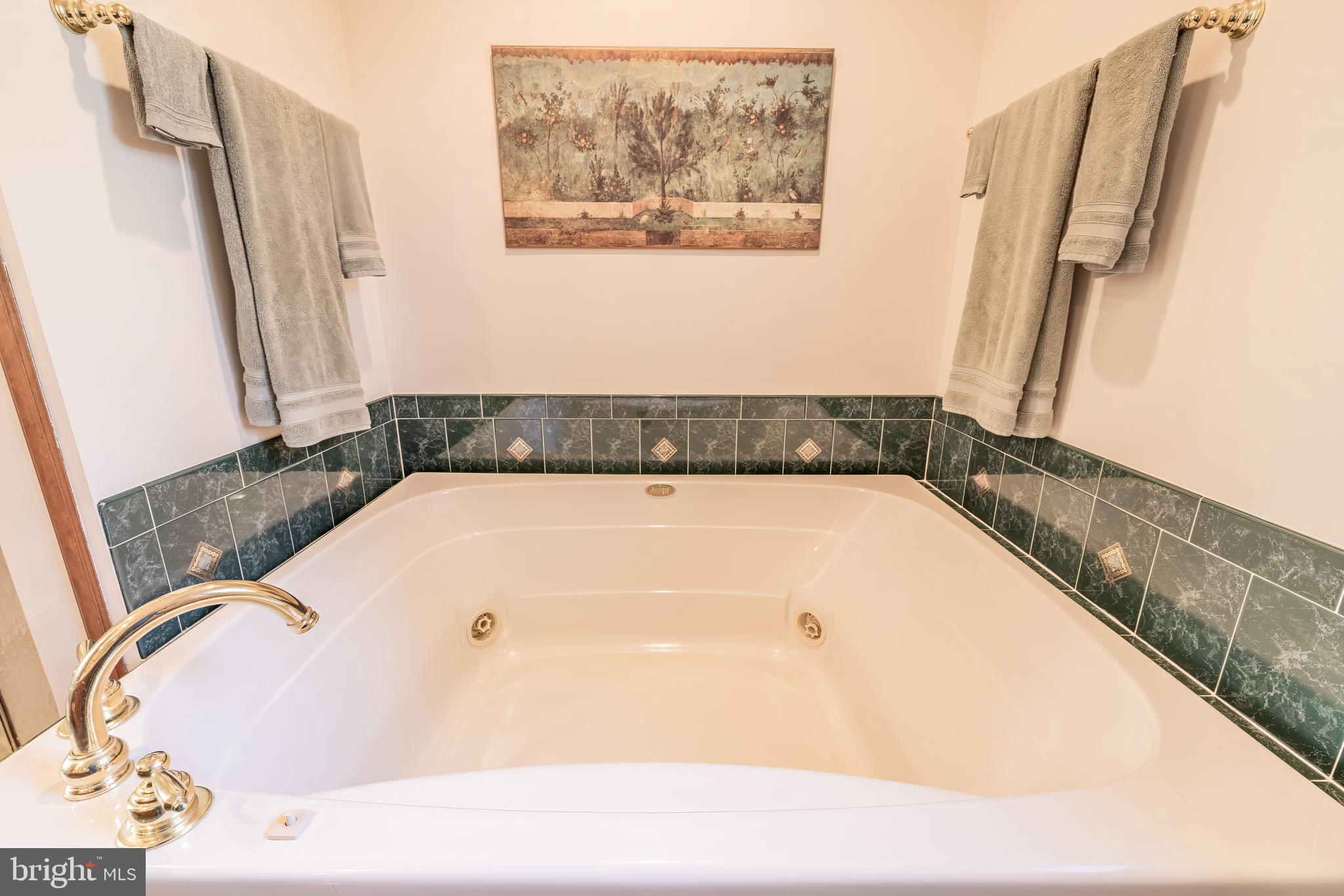 1441 Ruthsburg Road Centreville, MD 21617 - Photo 21 of 84 Primary bath