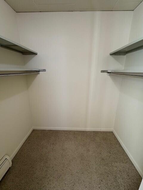 1400 Morton Avenue, Unit 2A Ann Arbor, MI 48104 - Photo 8 of 14 cloth closet