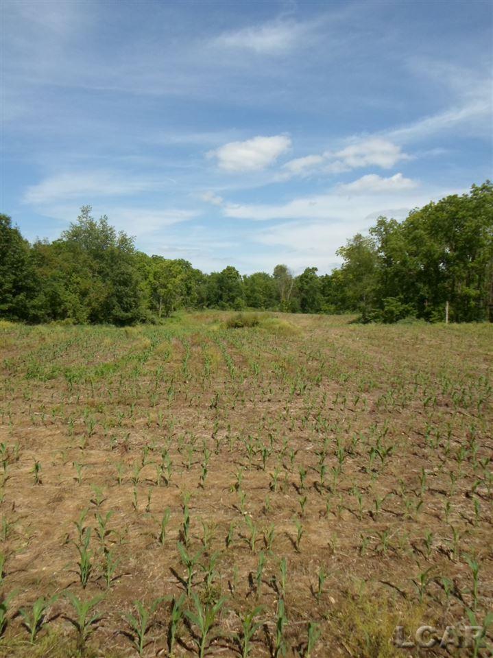 12000 Stephenson Road, Unit PARCEL A Brooklyn, MI 49230 - Photo 33 of 49