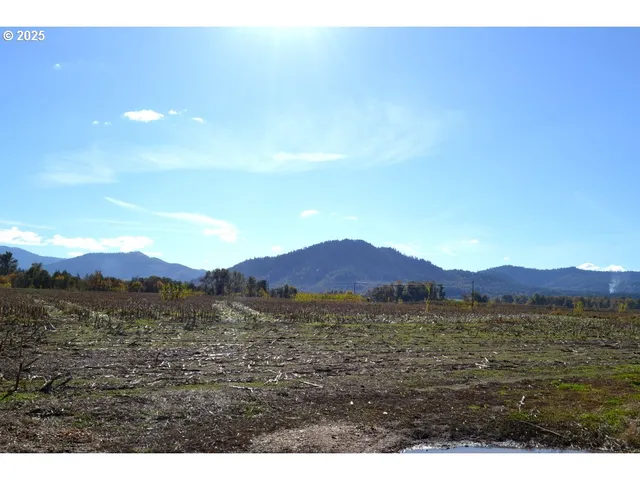 a view of a mountain