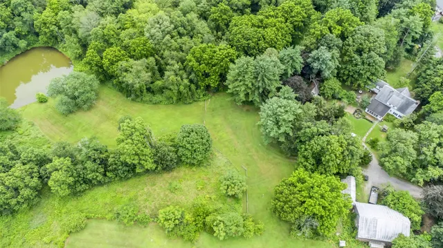 a view of a garden with a lake