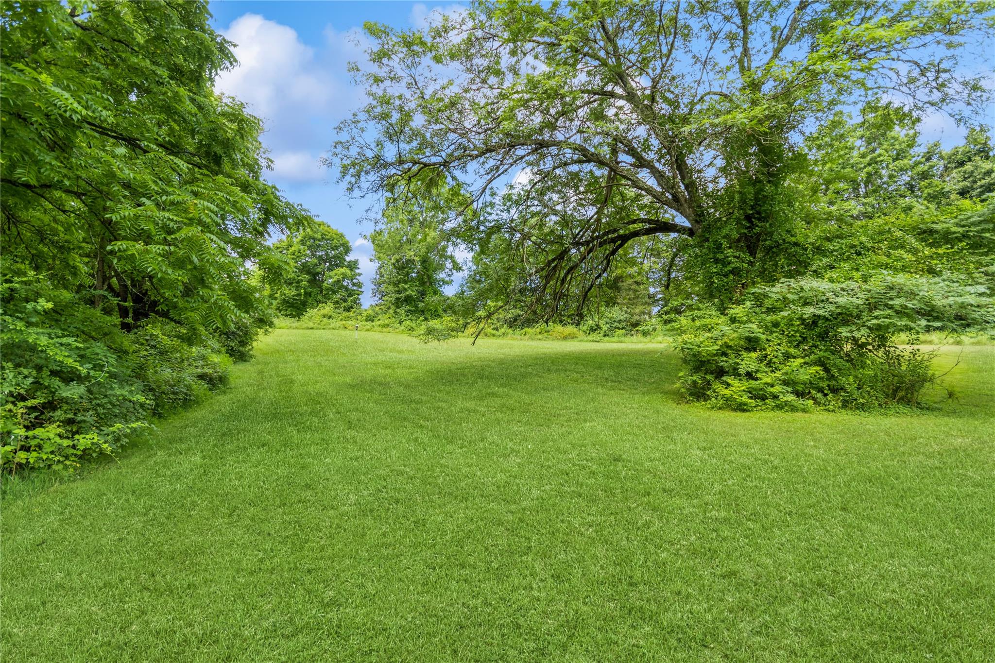 93 Widmer Road Wappingers Falls, NY 12590 - Photo 43 of 45 a view of a grassy field with trees