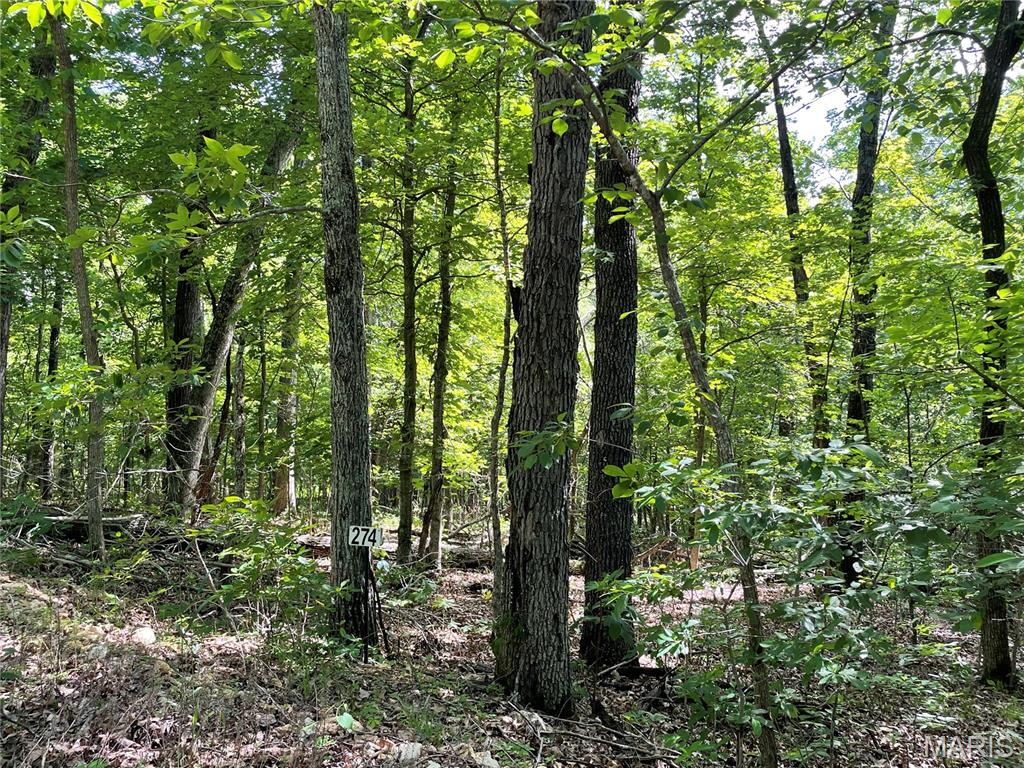 274 Oak Ridge Road Bourbon, MO 65441 - Photo 3 of 24