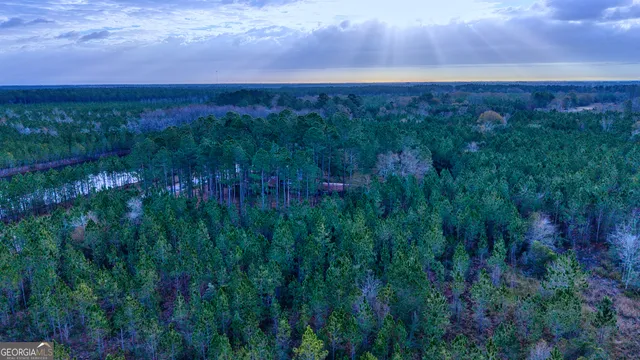 a view of a backyard with a sitting area and a garden