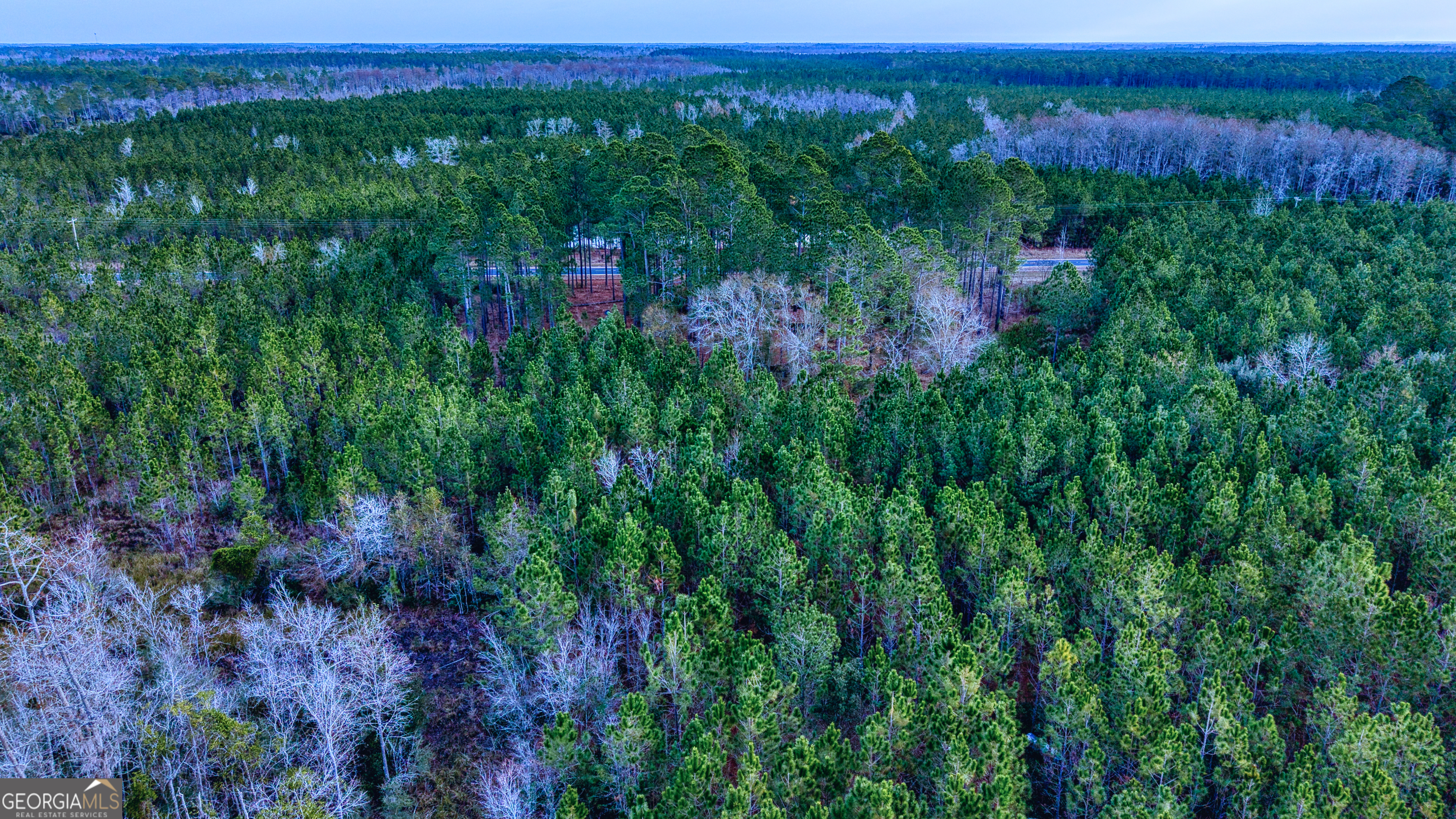 4421 Albert Rahn Road Glennville, GA 30427 - Photo 20 of 73