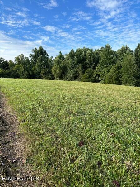 Knob Creek Road Wartrace, TN 37183 - Photo 15 of 17 124654705-lr