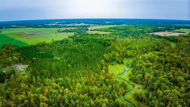 $65,000 | Lot 2 North Blackduck Lake Road Northeast, Blackduck, MN 56630