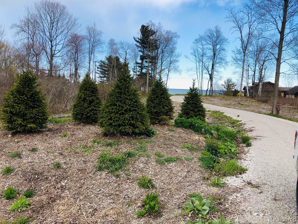 8391 Lakeshore Road Lexington, MI 48450 - Photo 1 of 6 Gallery Image 1