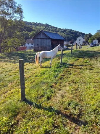 a backyard of a house with lots of green space