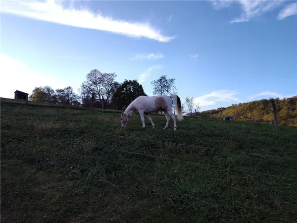 a view of a yard in front of the house