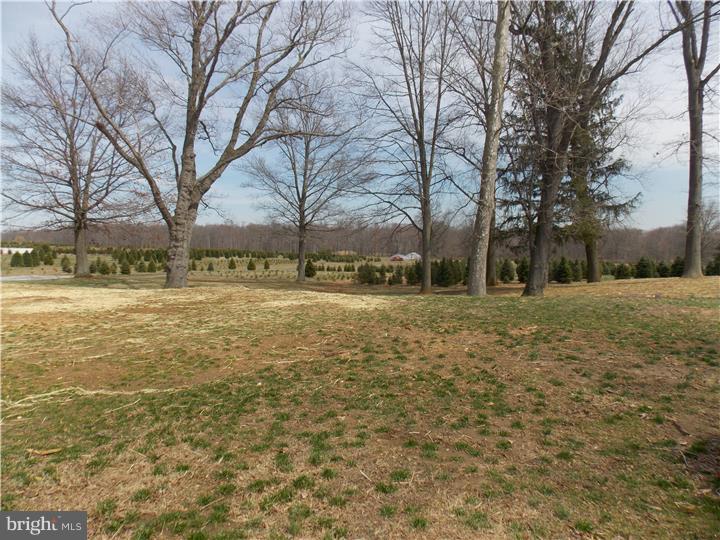 197 Crosswicks Chesterfield Road Chesterfield, NJ 08515 - Photo 16 of 16 View in Back