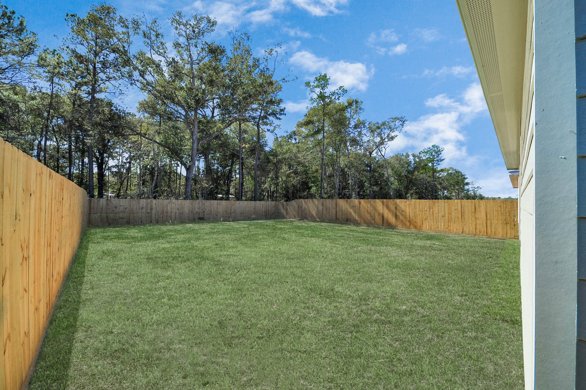 16280 Jeet Street Conroe, TX 77306 - Photo 44 of 44 a view of a backyard