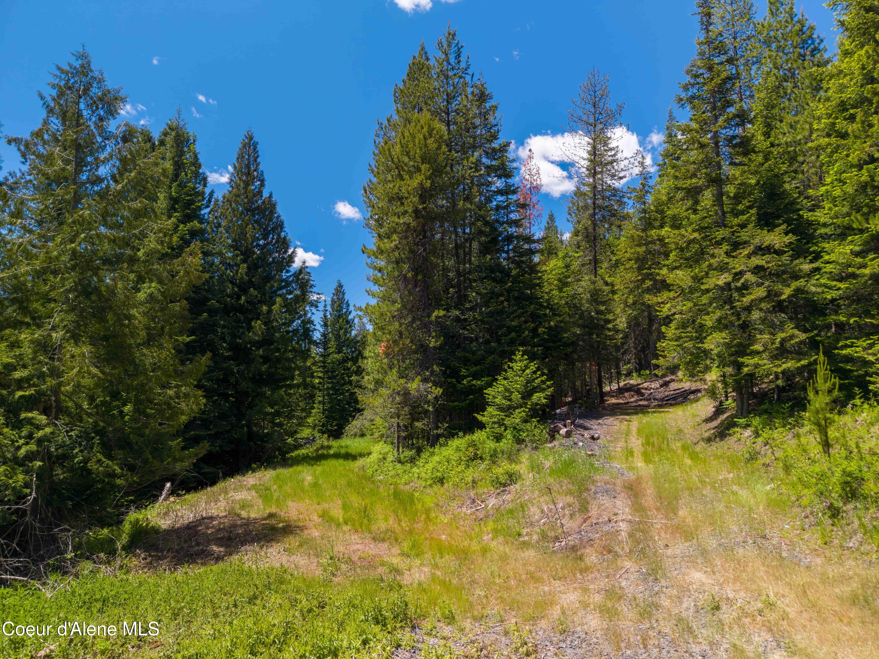 1314 Finn Creek Road Fernwood, ID 83830 - Photo 6 of 23 June 11 2026 (3 of 20)