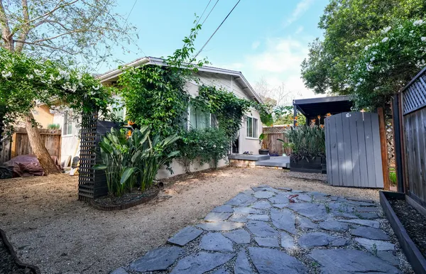 a backyard of a house with potted plants and large tree
