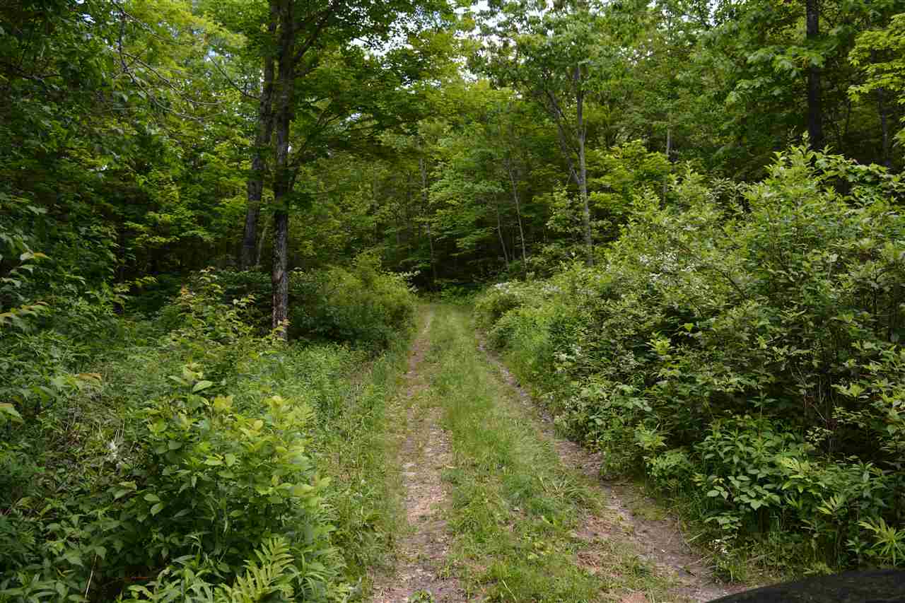 36 Bouldervale Road Croydon, NH 03773 - Photo 35 of 36