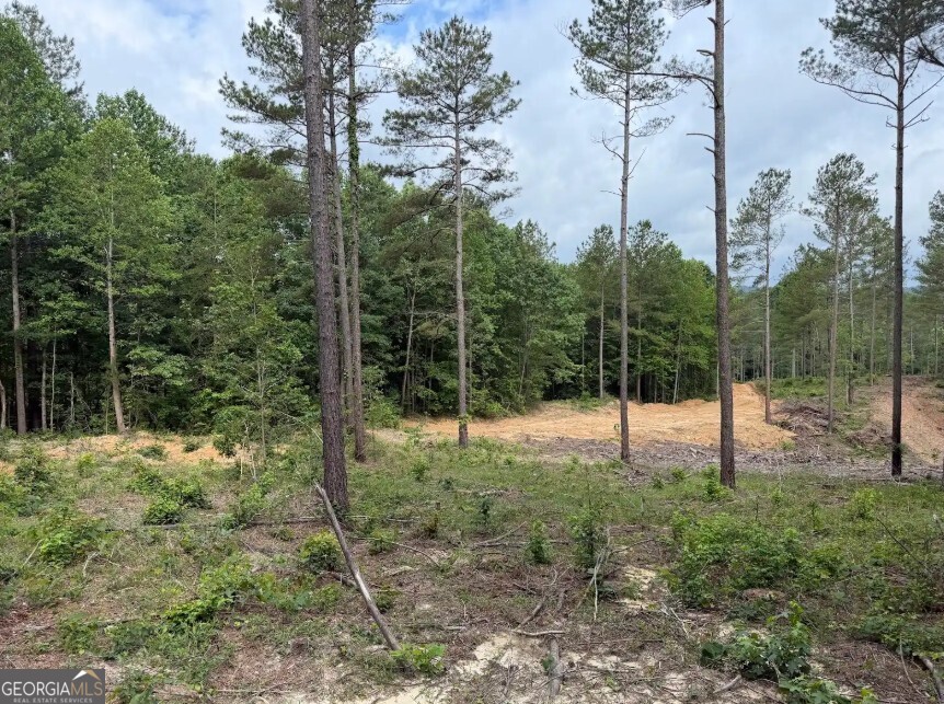 0 Mt Sinai Road, Unit LOT 1 Lula, GA 30554 - Photo 46 of 67