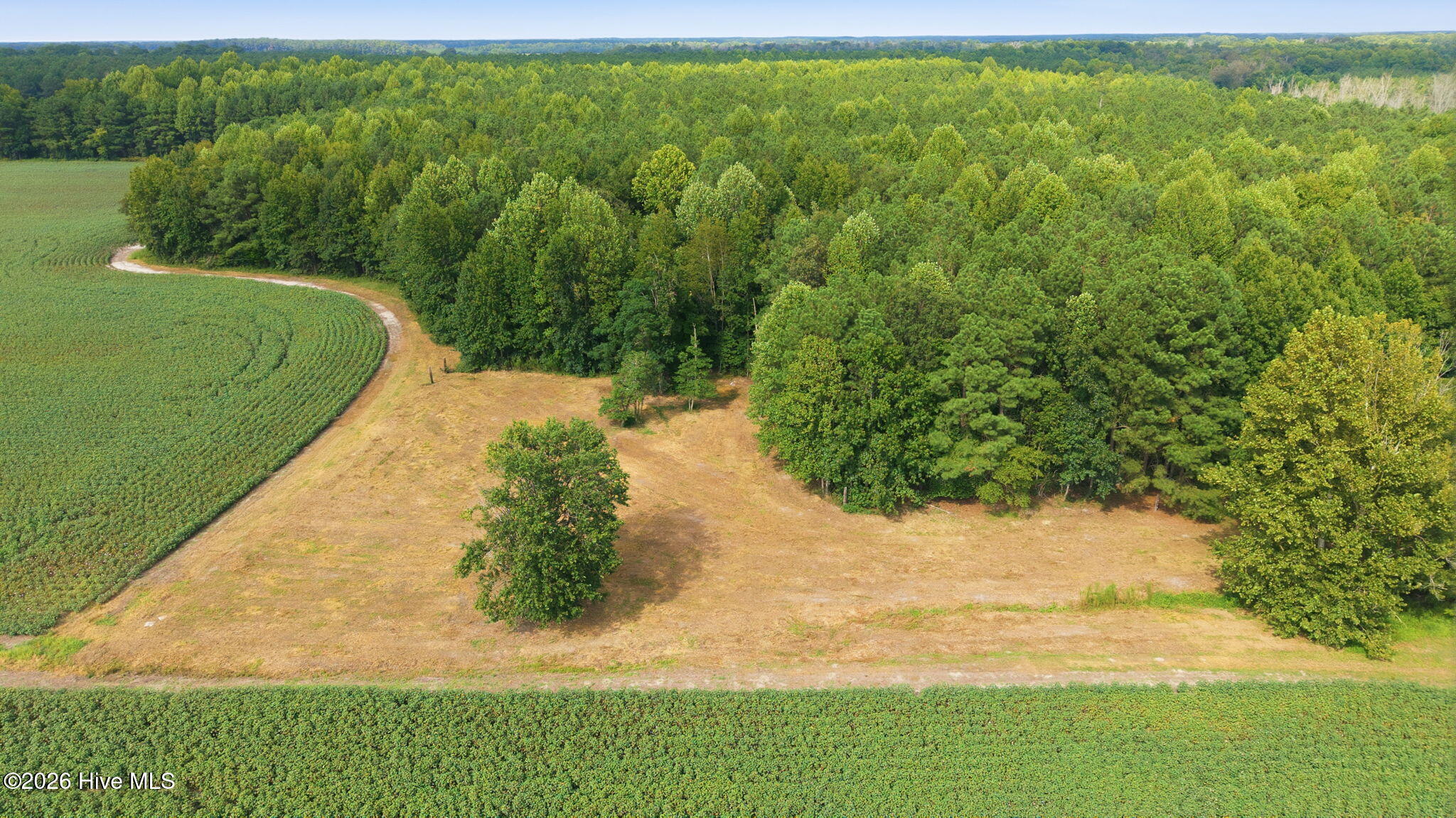 1811 Cannon Road Hobgood, NC 27843 - Photo 15 of 28 Gallery Image 15