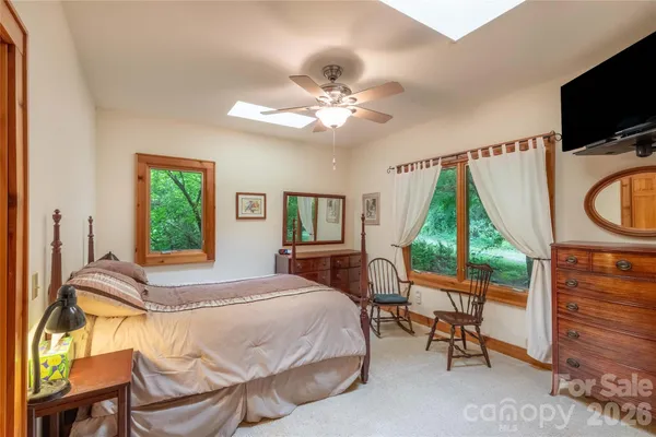 a view of a lush green forest