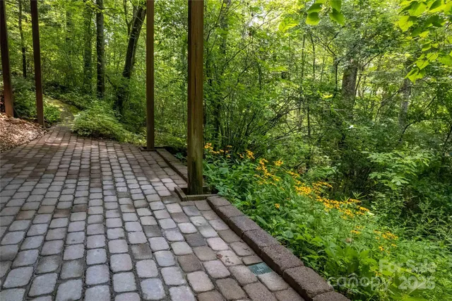 a view of a backyard