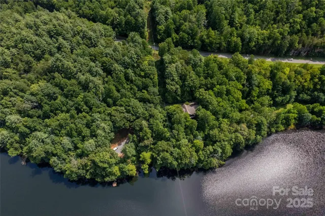 a view of a garden with a lake view