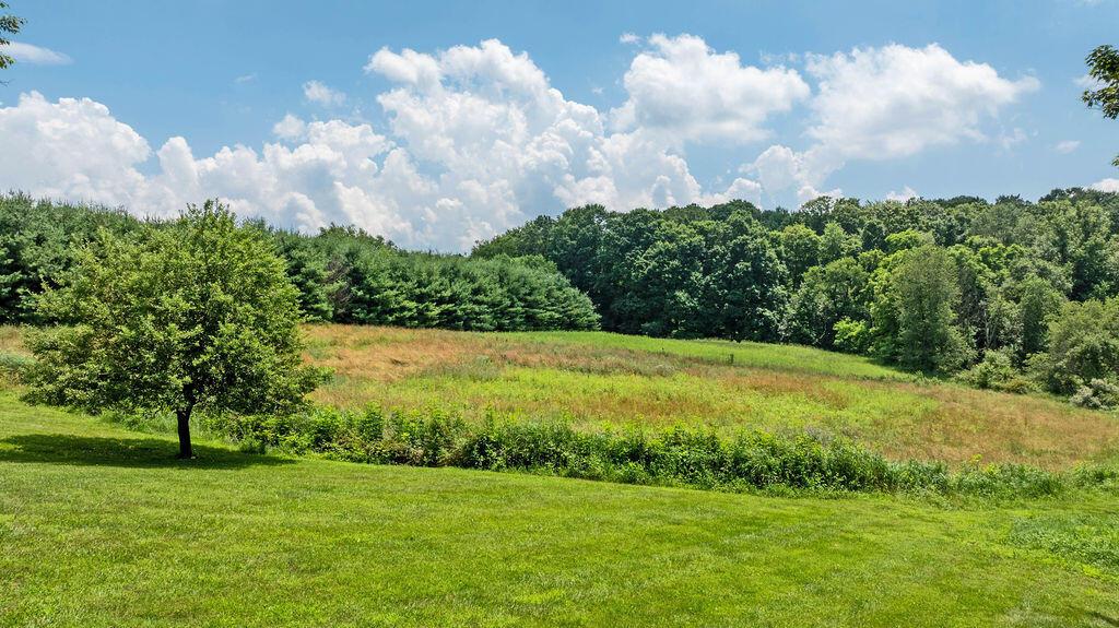 17766 Scott Road Mount Vernon, OH 43050 - Photo 95 of 115 17766ScottRoadExt_Hommati102(35)
