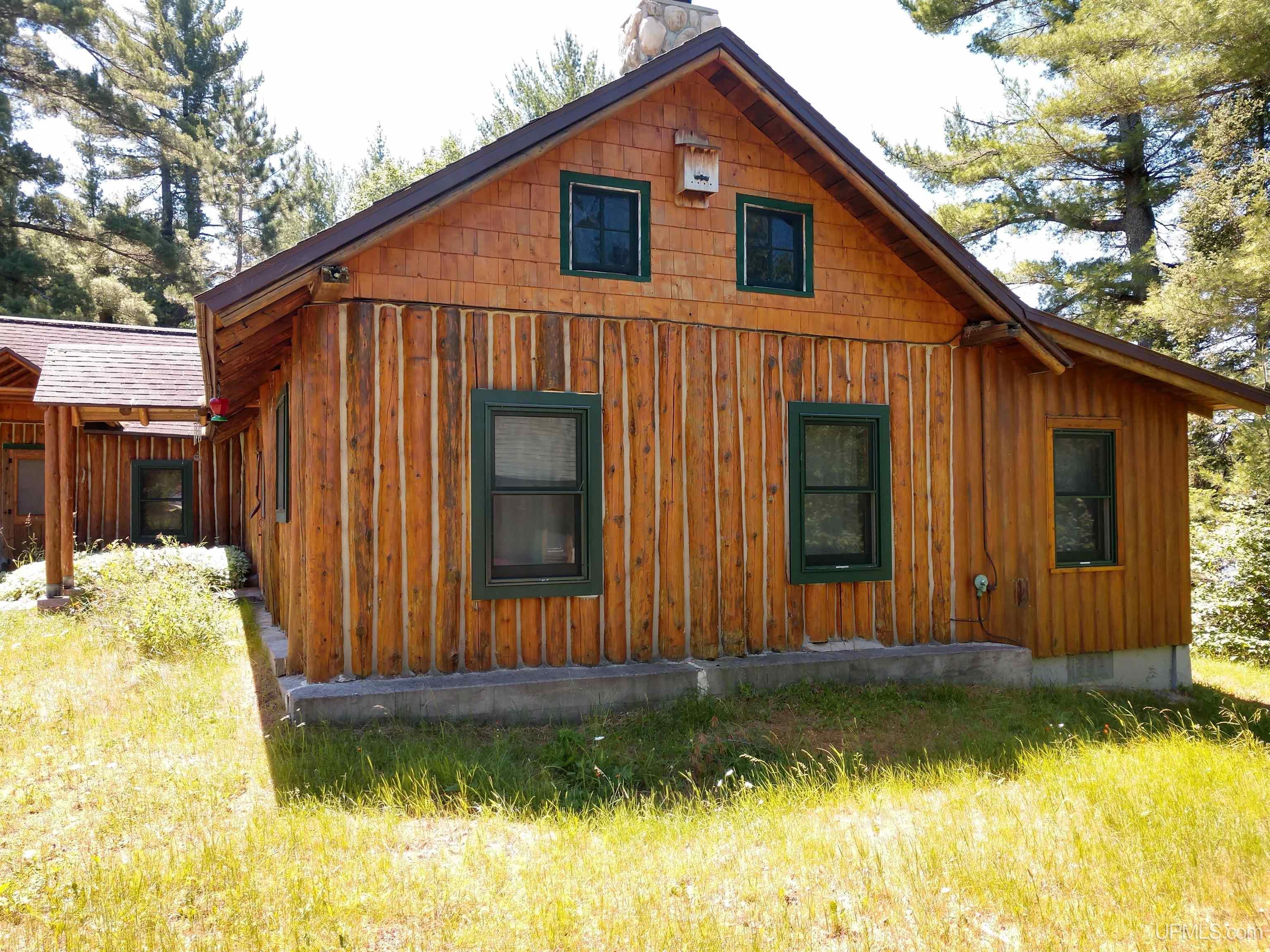 3612 Rd Stambaugh Mi 49935 Road Trout Creek, MI 49967 - Photo 21 of 27