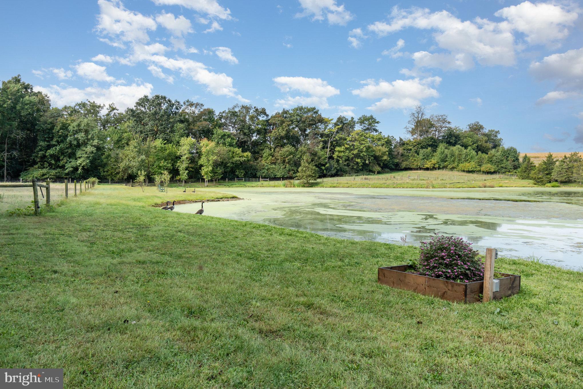 2200 Stoney Point Road East Berlin, PA 17316 - Photo 48 of 75 a view of a lake with a yard