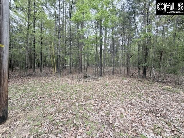 0 Kennerly Road Irmo, SC 29063 - Photo 2 of 6