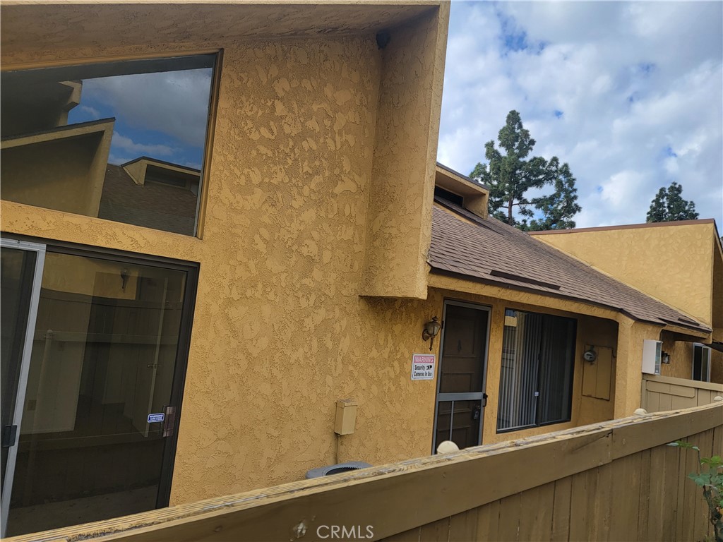 two windows and a tree