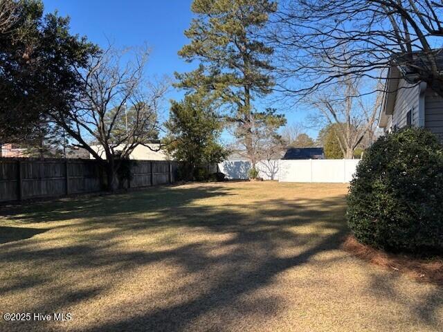 501 Blaney Street Clinton, NC 28328 - Photo 30 of 30 backyard