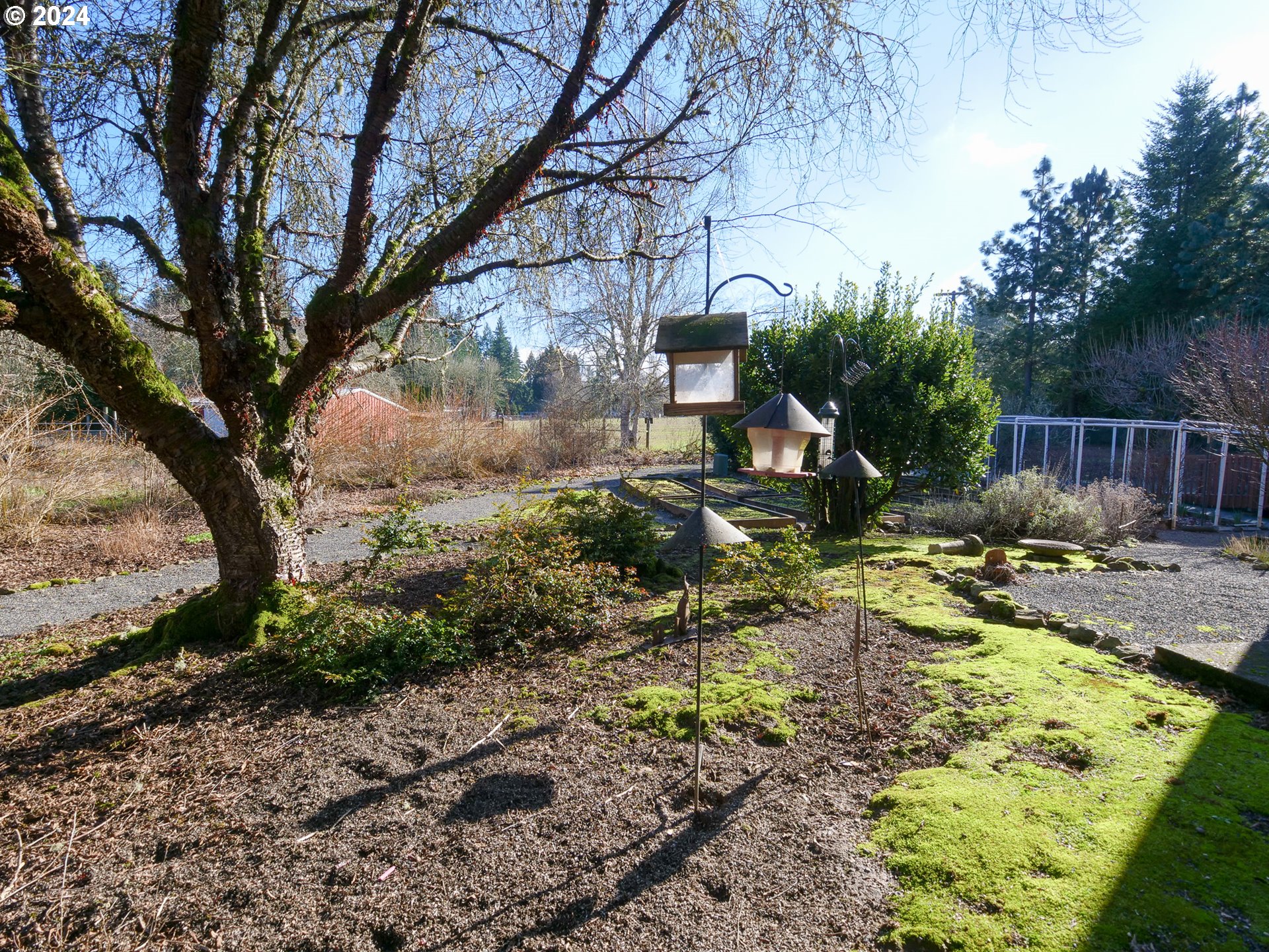 19107 Northwest Logie Trail Road Portland, OR 97231 - Photo 36 of 46 a view of swimming pool with a yard