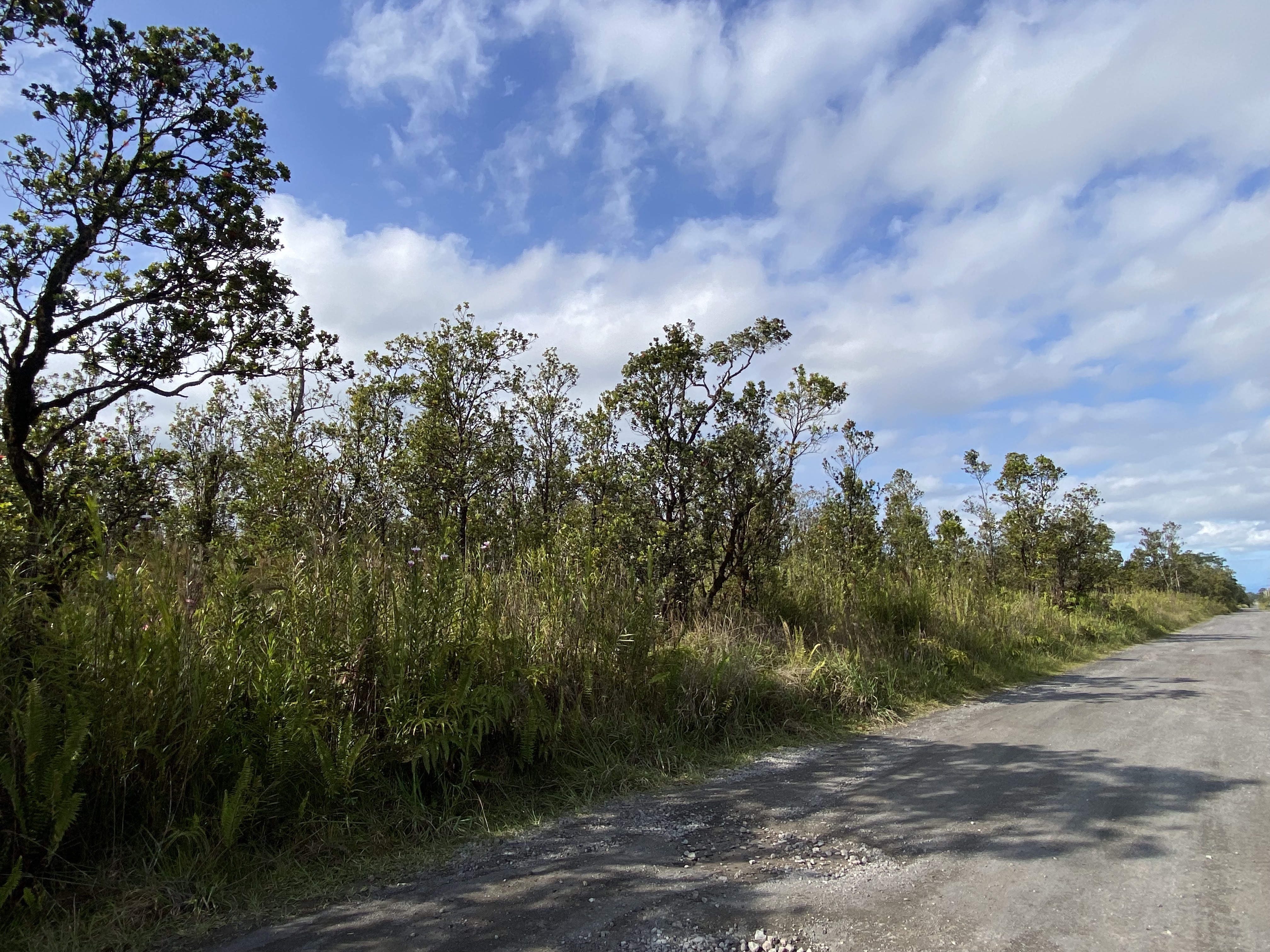 48 Kaleponi Road Mountain View, HI 96771 - Photo 11 of 12