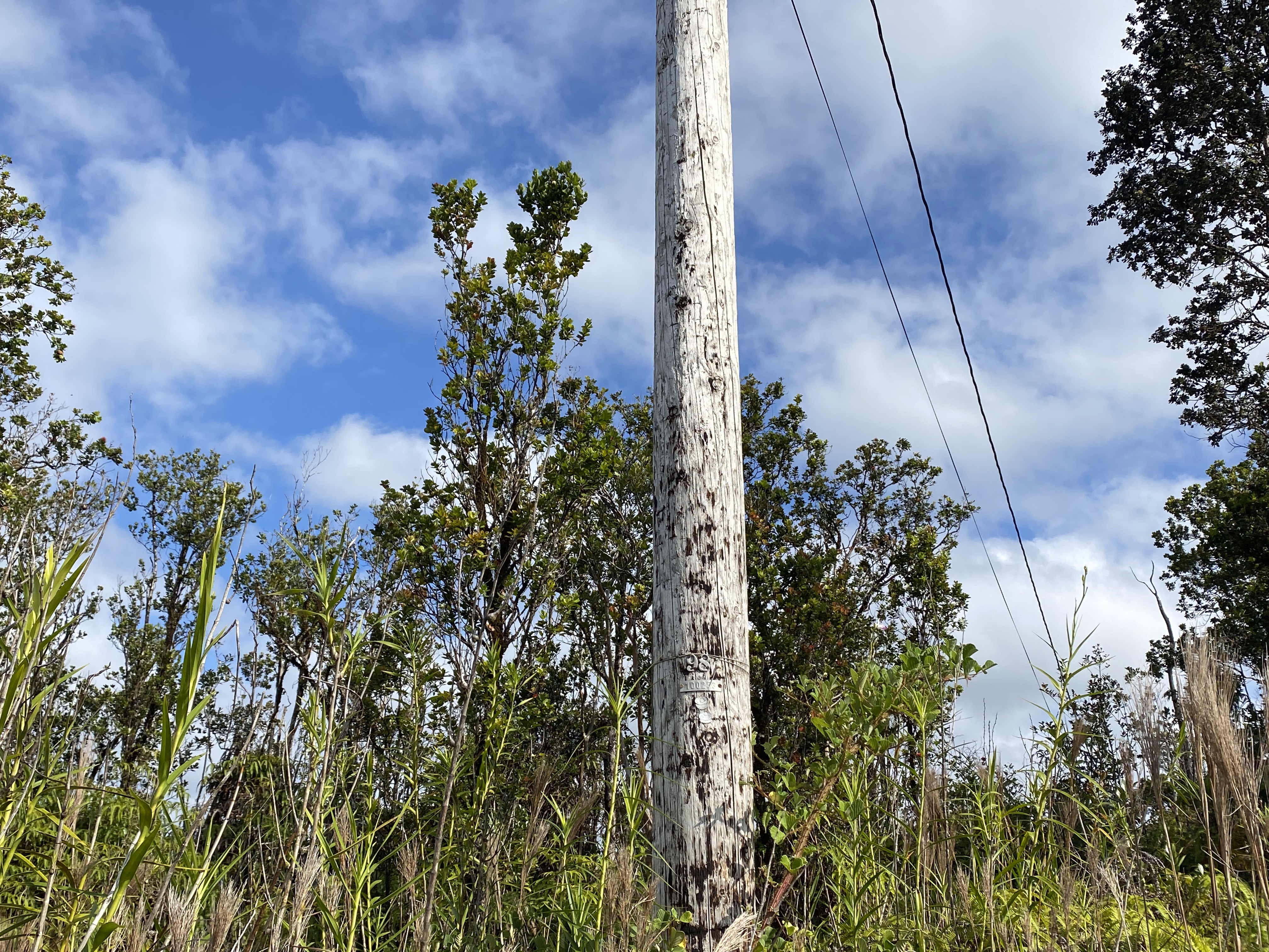 48 Kaleponi Road Mountain View, HI 96771 - Photo 4 of 12