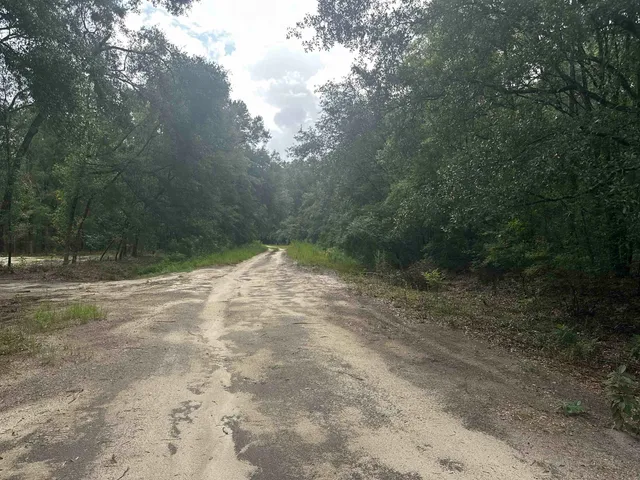 $42,500 | Xxx Northeast Champion Loop, Lee, FL 32059