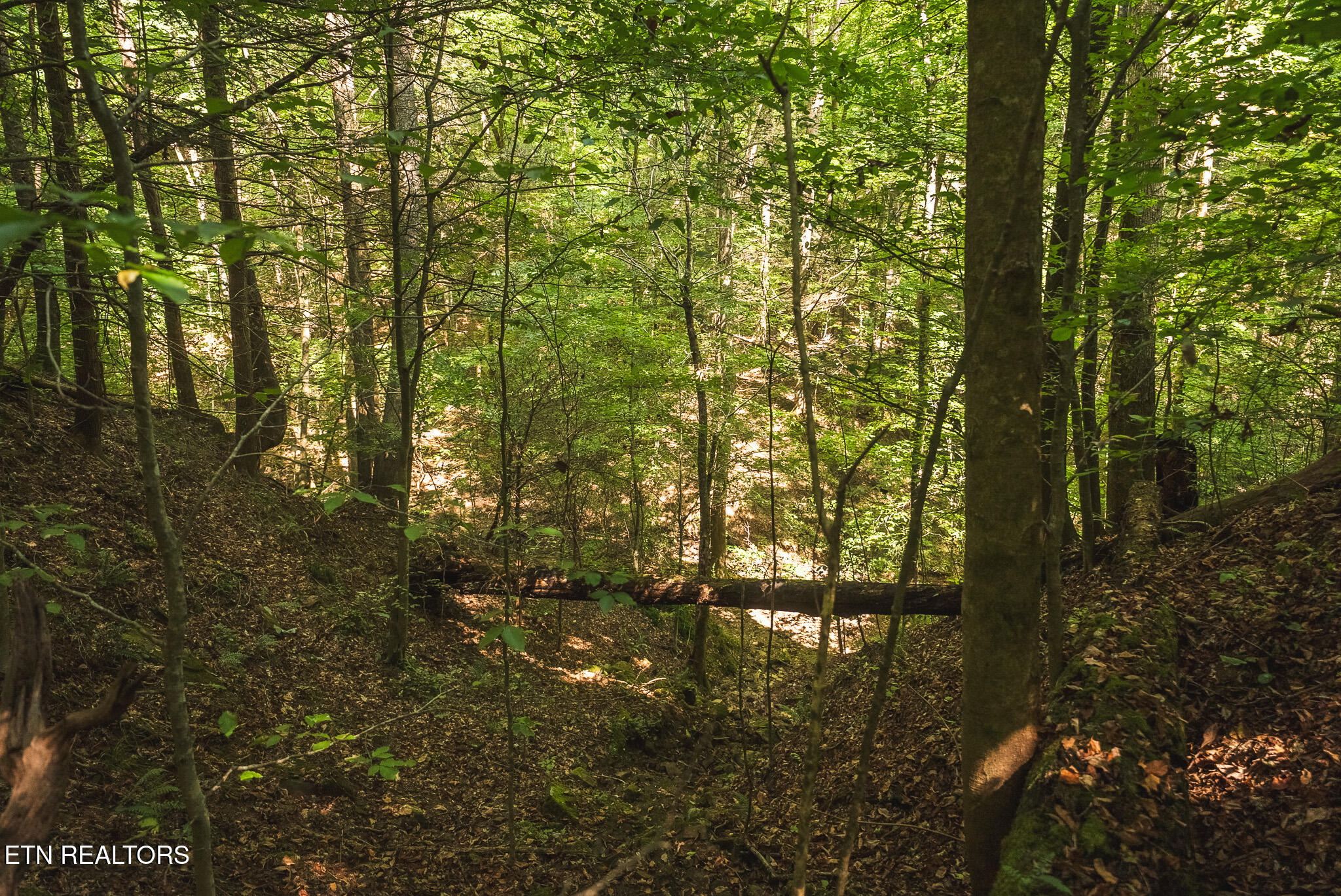 Watson Hollow Road Speedwell, TN 37870 - Photo 25 of 37 DSC03632