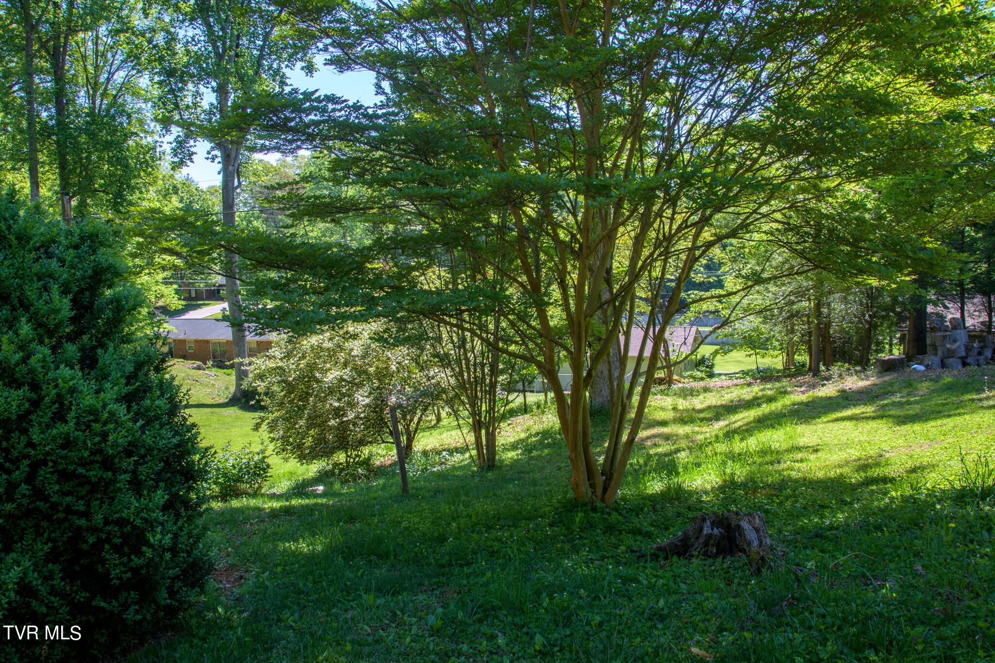 4423 Rustic Way Kingsport, TN 37664 - Photo 38 of 42 4423 Rustic Way Kingsport TN-19