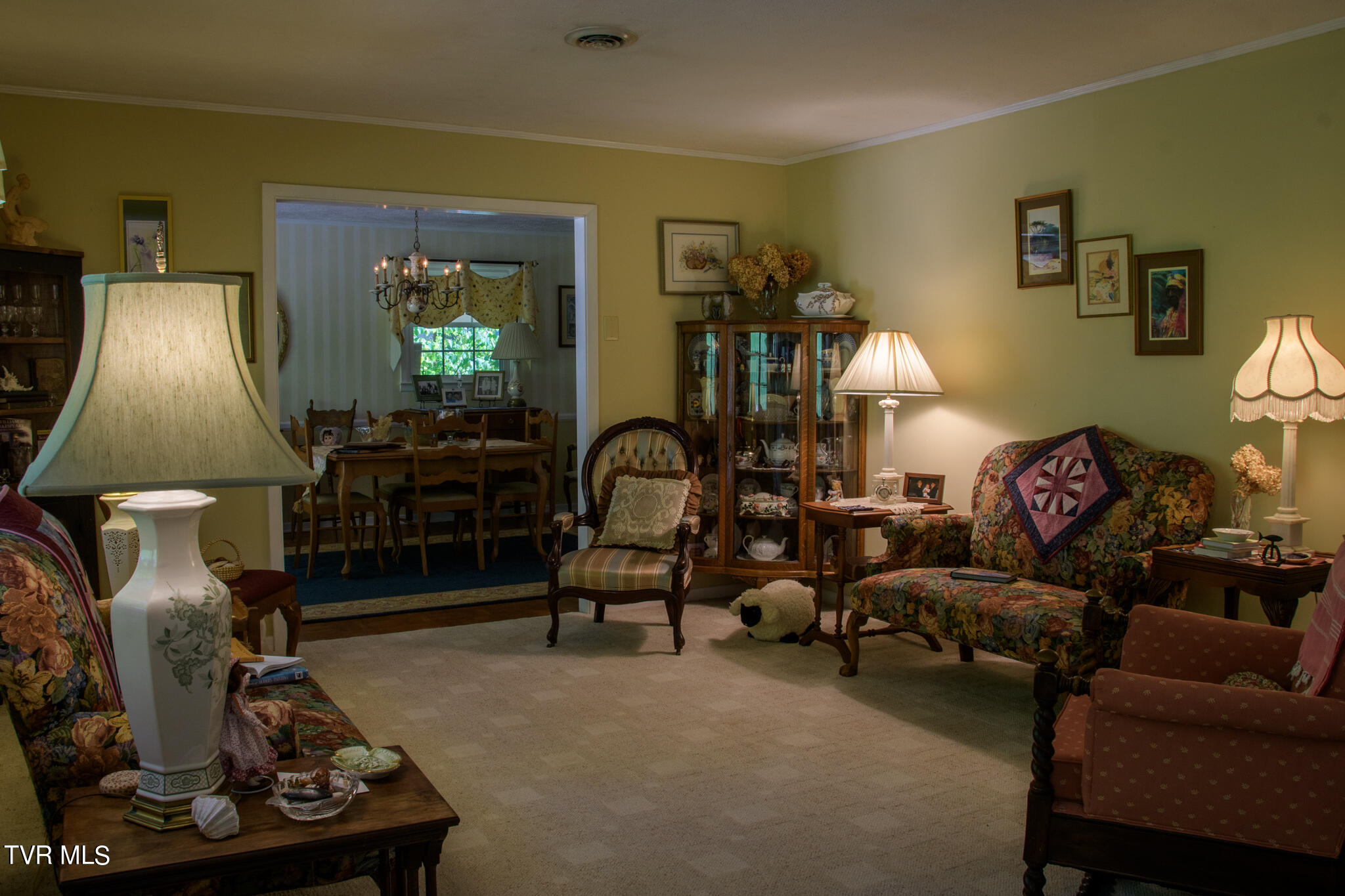 4423 Rustic Way Kingsport TN-24