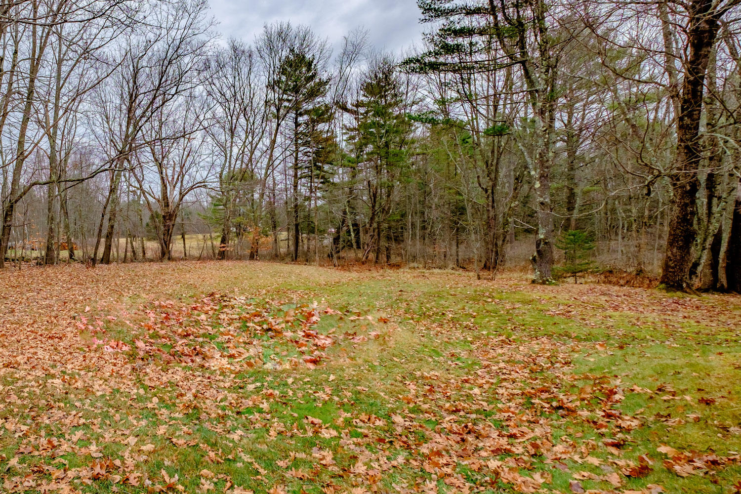 1624 Royalsborough Road Durham, ME 04222 - Photo 21 of 25 20191122gp-61053