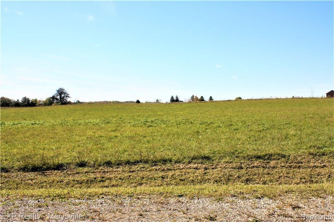 3 Imlay City Road Capac, MI 48014 - Photo 1 of 1 Parcel 3.JPG
