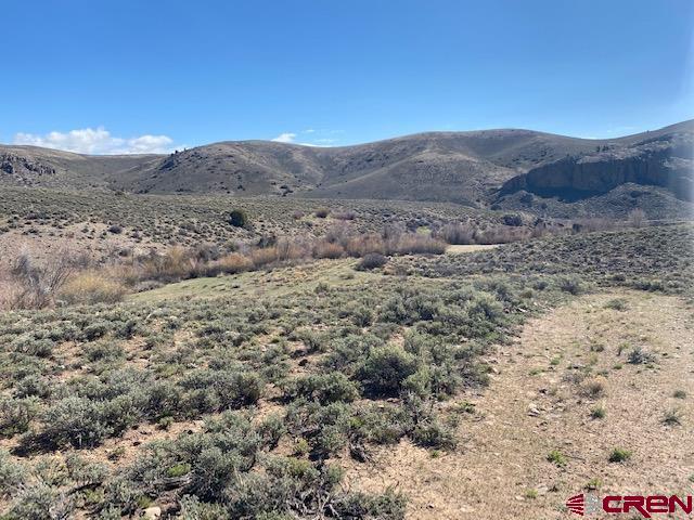 428 Antelope Road Gunnison, CO 81230 - Photo 5 of 9 a view of a dry field
