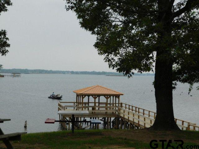 550 Waterfront Row Quitman, TX 75783 - Photo 3 of 5