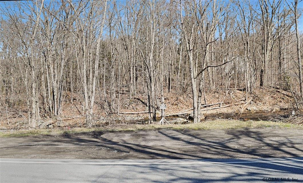 346 Plank Road Poestenkill, NY 12140 - Photo 7 of 51 Photo 7