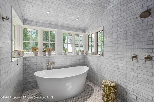 $100,000 | 1230 Snowbunny Lane, Aspen, CO 81611