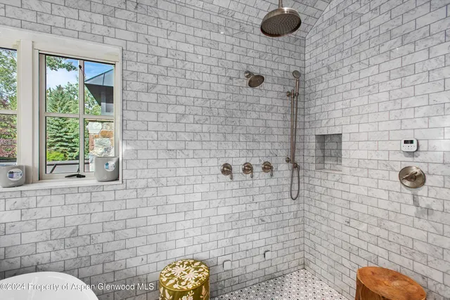 $100,000 | 1230 Snowbunny Lane, Aspen, CO 81611