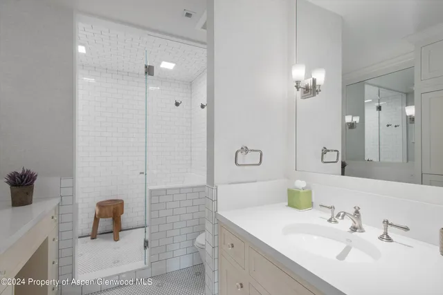 $100,000 | 1230 Snowbunny Lane, Aspen, CO 81611