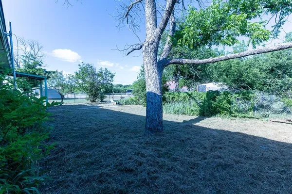 a view of a yard with a tree
